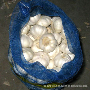 Exportar buena calidad Fresh Chinese Mesh Bag Embalaje Pure White Garlic